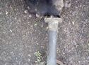 Daimler steering box and column