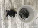 Fiat 509 wheel brake cylinder