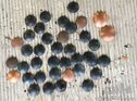 frostplugs for Fiat 509