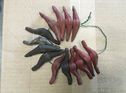 14 pcs manifold clamps Model T Ford all years