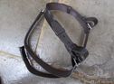 3-part bonnet belts MG