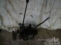 Studebaker gearbox (& clutch) for Studebaker