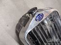 Delage radiator