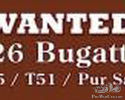 Bugatti type 35 ,51 or PUR SANG 1926 wanted