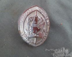 Vauxhall badges for Vauxhall