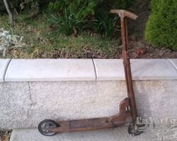 REINE toys
