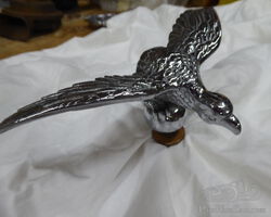 Flying Kestrel (Riley) mascot