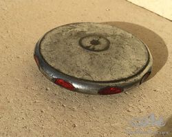 beautiful radiator cap