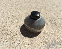 horn button