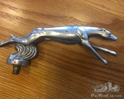 Radiator greyhound mascot