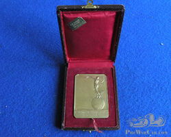 Hill Climb Medal