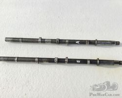 Salmson camshafts