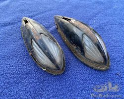 dolphin side lights