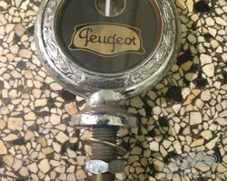 Thermometer Peugeot