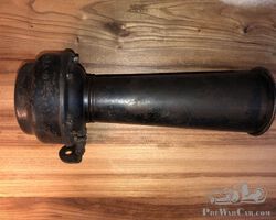 Big straight horn