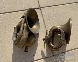 2 veteran horns