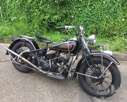Indian Chief