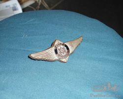 Unidentified badges for Dodge