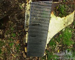 Buick grille for Buick