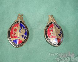 Vauxhall badges for Vauxhall