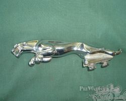 Jaguar mascots & brightwork for Jaguar