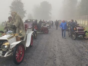 Rallye des Ancêtres 2021 - Club des Teuf Teuf
