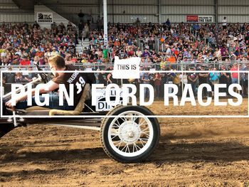 Pig ’N Fords: Rennen mit 22 PS und einem Ferkel