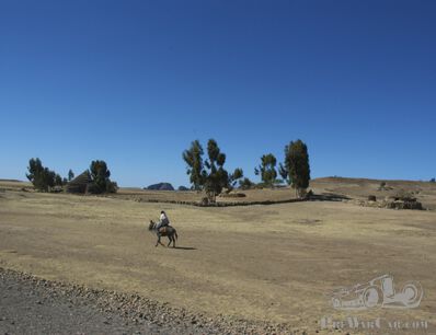 Rush hour in Ethiopia
