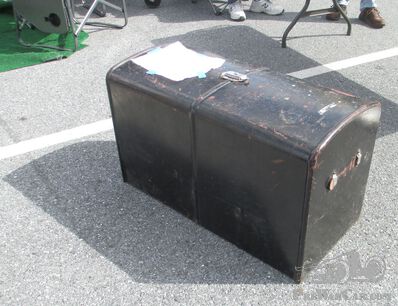 When is a trunk not a trunk?