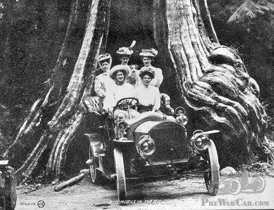 Five ladies and a Napier?
