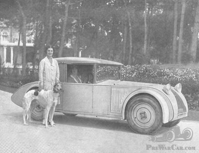 Want to look stylish? Add a Borzoi (or two)