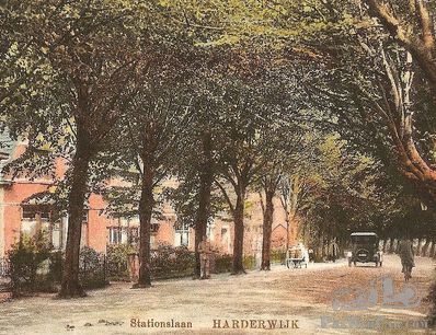 Postcard Mystery