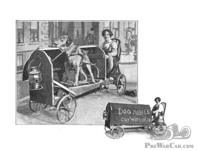Dogmobile Tour on World Animal Day