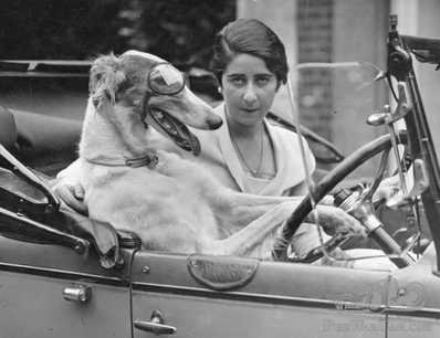 A Fashionable Friday Lady