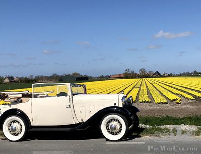 Tulips and my 1932 Ford V8 Vandenplas
