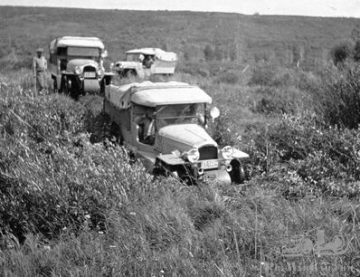 The incredible tale of the Champagne Safari