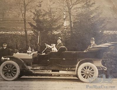 A faithful friend in a mystery car