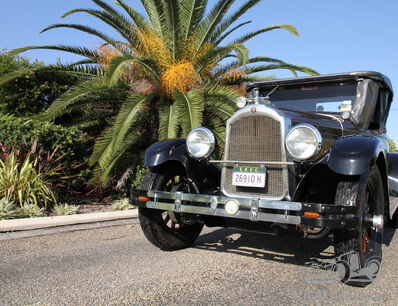 Willys and the silent Knight