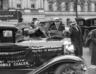 President Hoover’s turkeys for Thanksgiving