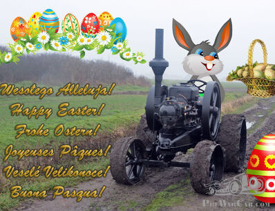 Happy Easter!