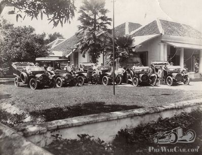 Indonesian Spykers – there was a whole pack of them!