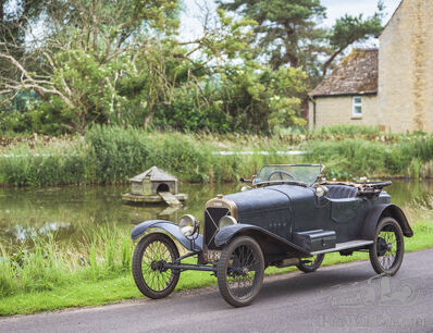 Salmson Survivor