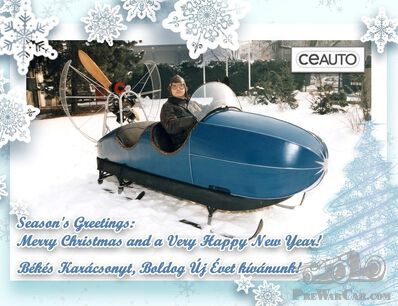 Season's Greetings from ceauto!