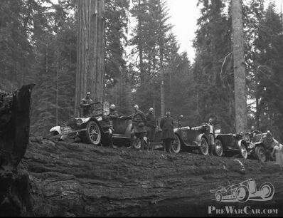 Costa Rica of Californië? Avontuurlijke automobilisten stellen ons voor een  mysterie...