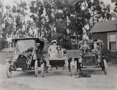 Dogs' day out: a Brass Era drive with canine companions