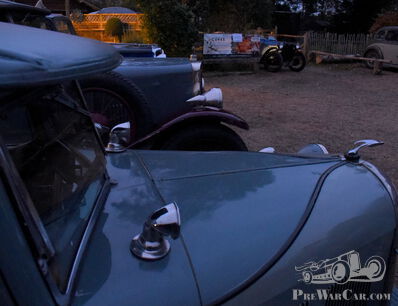 Flying by night: a Swallow's view of the Nightjar Rally