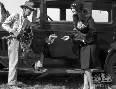 Talking turkey: a vintage motorist selects her Thanksgiving dinner