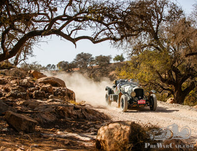 Der Ruf der Wildnis – zurück nach Afrika