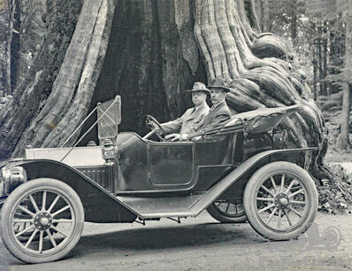 Het decor in Vancouver: de holle boom en een onbekende auto