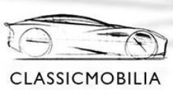 User logo